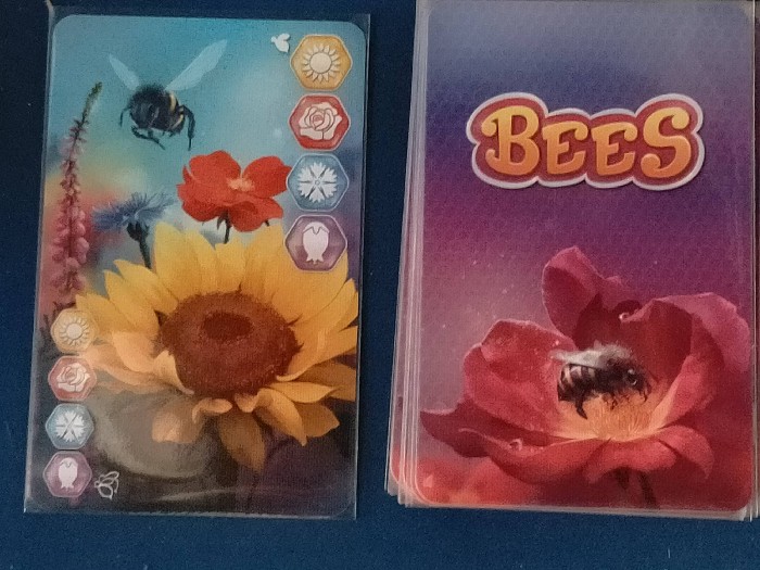 bees