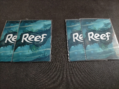 Reef